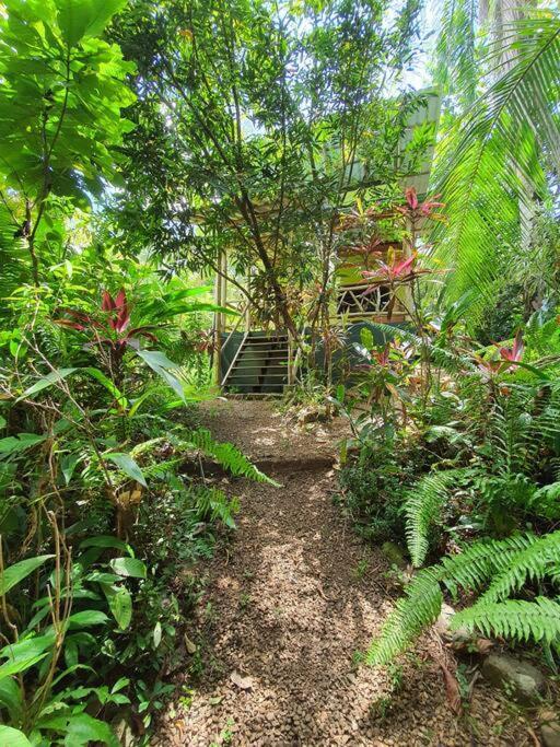 Cabina Gan Eden - Walking Distance From River Portalón Extérieur photo